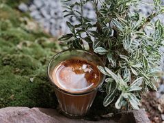 夜来香-Metal hands·铁手咖啡