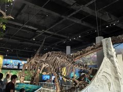 -国家自然博物馆