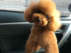 -沐沐家宠物(成寿寺店)