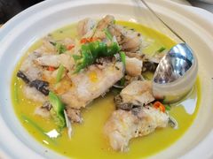 -饭怕鱼(阳光100店)