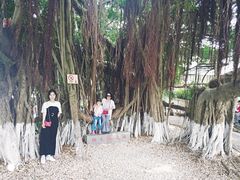 -胡里山炮台