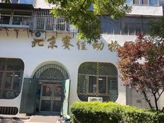 -北京赛佳动物医院