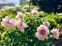 -江南大学-第一食堂(江南苑)