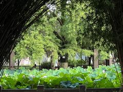 -四川大学(望江校区)