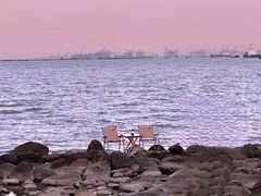 -上海吴淞炮台湾国家湿地公园