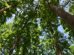 -南京金牛湖风景区
