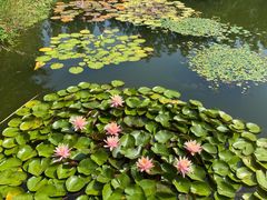 -国家植物园南园