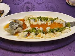 WT清蒸小龙趸-惠食佳·朱雀(东方商厦店)