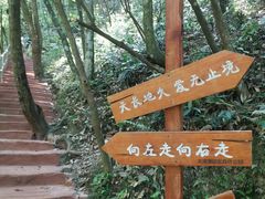 -龙湾潭国家森林公园