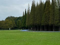 -宜兴龙背山森林公园