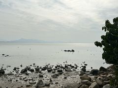 -深圳湾公园(南山区)