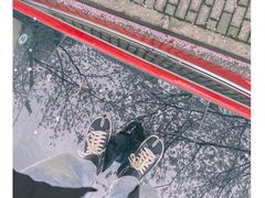 -高东镇樱花园
