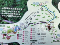 -野象谷景区