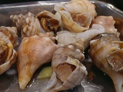 海螺-胶东海鲜大排档(北太平庄店)