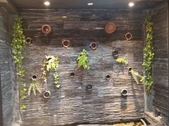 -一只烧鸡公(解放碑店)