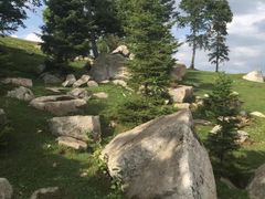 -老秃顶草原景区