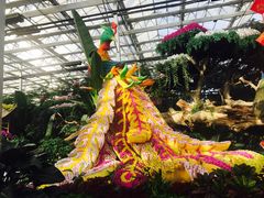 -兰陵国家农业公园