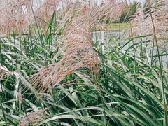 -千龙湖生态旅游度假区