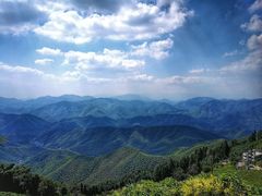 -莫干山风景区