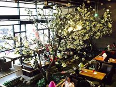 山有花啡餐厅-山有花啡餐厅(常营总店)