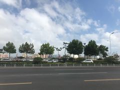 -星光岛