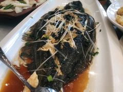 清蒸活鱼-郑庄脂渣海鲜楼(九水路店)