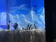 -成都浩海立方海洋公园