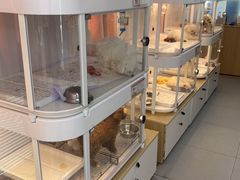 -翊宠yipet猫狗购宠庄园犬舍•猫舍