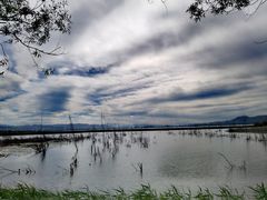 -野鸭湖国家湿地公园