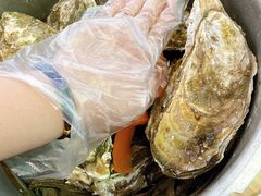 高压锅竹笼生蚝（20个大蚝）-一蚝一贝海鲜特色餐厅(万象城店)