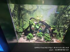 -常州海昌海洋探索馆