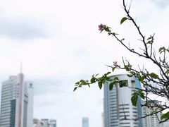 -西西弗书店&矢量咖啡(来福士广场店)