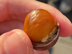 -秋栗香(地安门店)