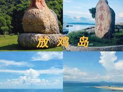 -广东茂名森林公园