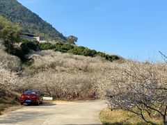 -广州市流溪河国家森林公园