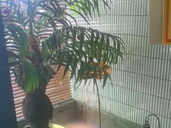 -涟LIAN·泰式按摩·MASSAGE·SPA(华强北店)