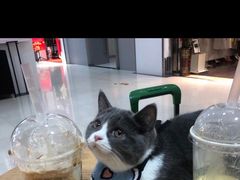 -luckincoffee瑞幸咖啡(东方都会大厦店)