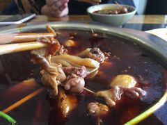 -冯记香辣兔火锅(茶店子总店)