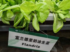 -长春农博园