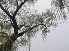 -恭王府博物馆