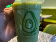 -油梨树AVOCADO TREE(望京店)