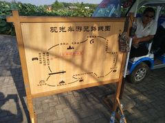 -白洋淀景区