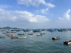-海源公园