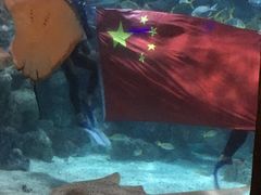 -杭州海底世界
