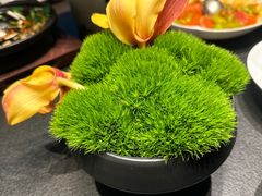 -拾久(朝阳公园店)