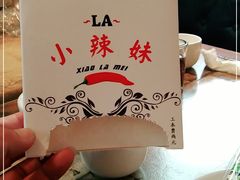 -小辣妹