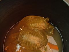 -阿瓦山寨·湘菜现炒·剁椒鱼头王(咸阳总店)