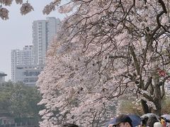 -红星桥(地铁站)