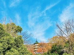-灵谷景区
