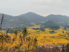 -牛街螺丝田
